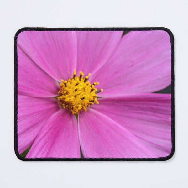 Item preview, Cosmos designed and sold by PrettyAround.