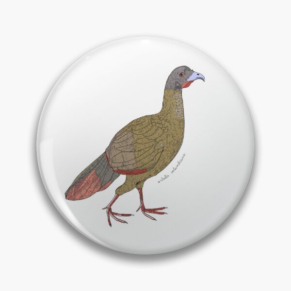 Item preview, Chachalaca bird designed and sold by flor-de-papel.