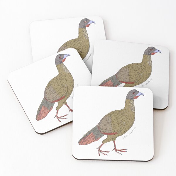 Item preview, Chachalaca bird designed and sold by flor-de-papel.