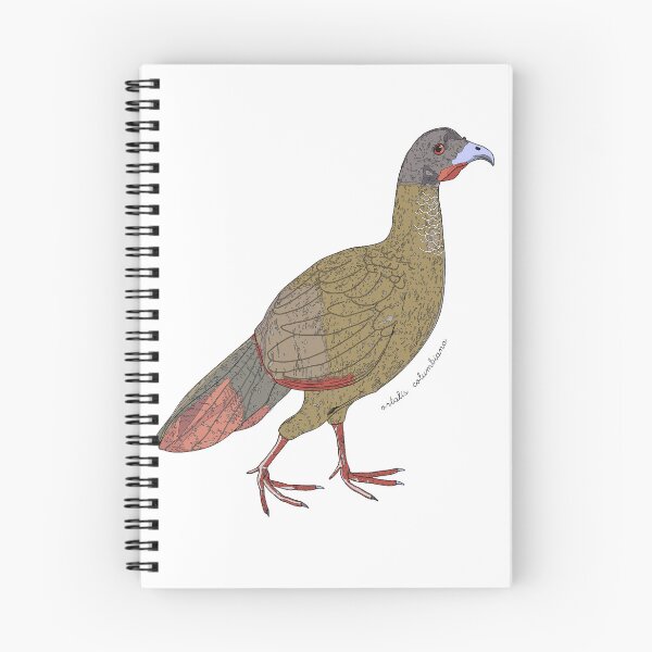 Item preview, Chachalaca bird designed and sold by flor-de-papel.