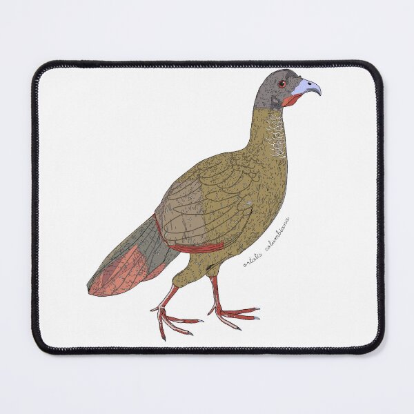 Item preview, Chachalaca bird designed and sold by flor-de-papel.