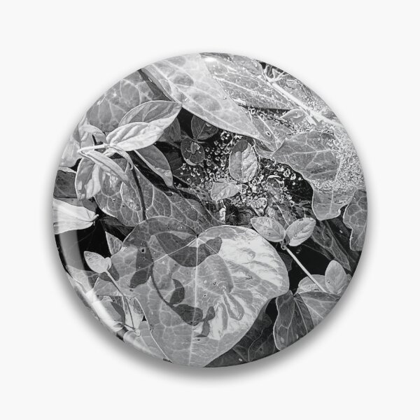 Item preview, Close/up of black ivy leaves.  designed and sold by momentscapturedbymelanie.