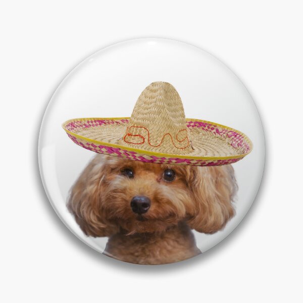 Item preview, Poodle In Sombrero Funny Dog Photo Print designed and sold by chaos-and-curls.