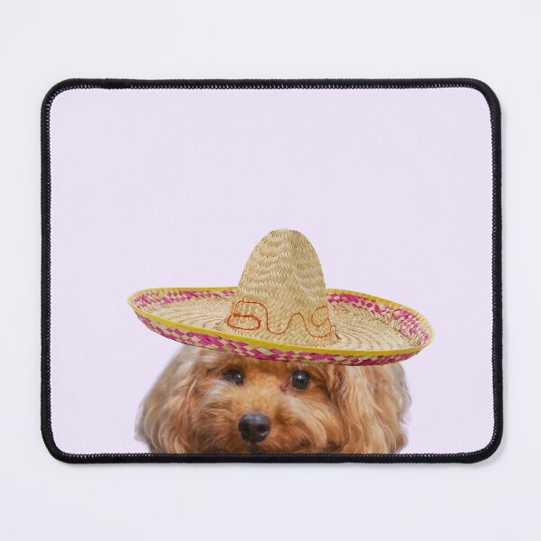 Item preview, Poodle In Sombrero Funny Dog Photo Print designed and sold by chaos-and-curls.