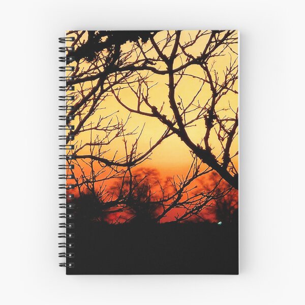 Item preview, Sunset Through Bare Branches designed and sold by Stacey's unpromised.