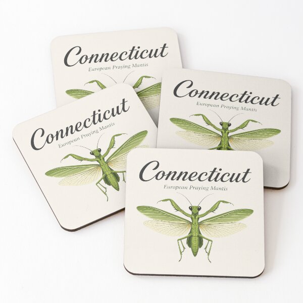 Item preview, Connecticut European Praying Mantis Poster designed and sold by The-Drip-Studio.