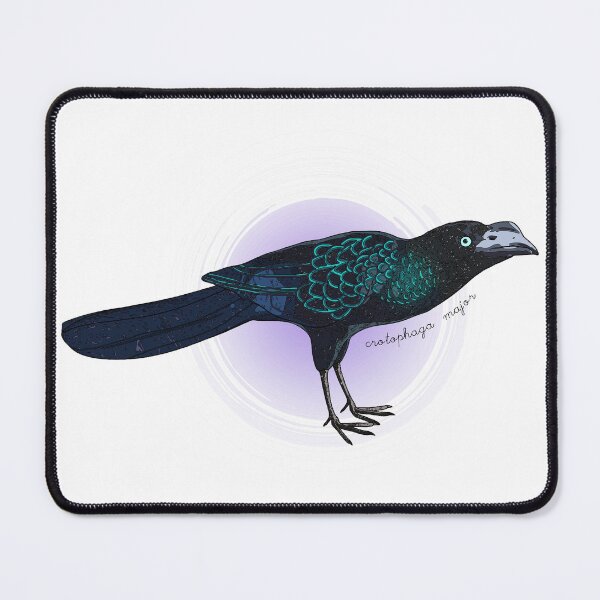 Item preview, Greater ani bird designed and sold by flor-de-papel.