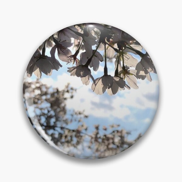 Item preview, Spring trees, no filter photograph designed and sold by GiSilver.
