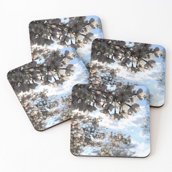 Item preview, Spring trees, no filter photograph designed and sold by GiSilver.