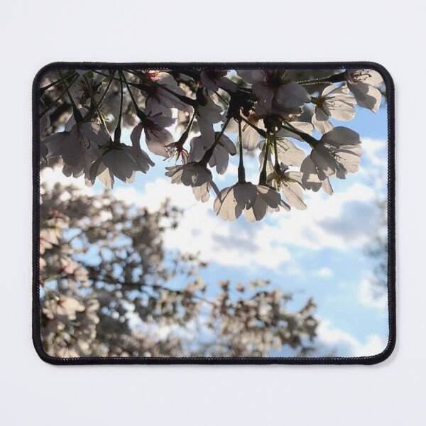 Item preview, Spring trees, no filter photograph designed and sold by GiSilver.