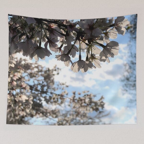 Item preview, Spring trees, no filter photograph designed and sold by GiSilver.
