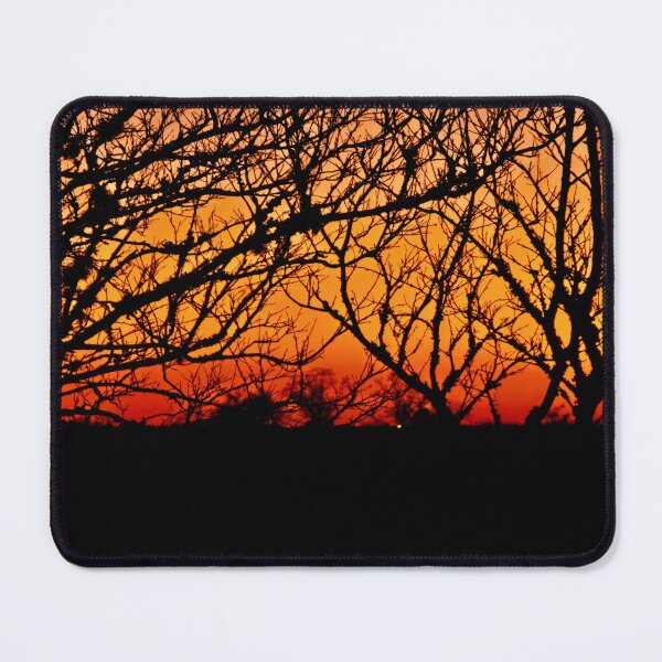 Item preview, Vibrant Sunset Through Bare Trees designed and sold by Stacey's unpromised.