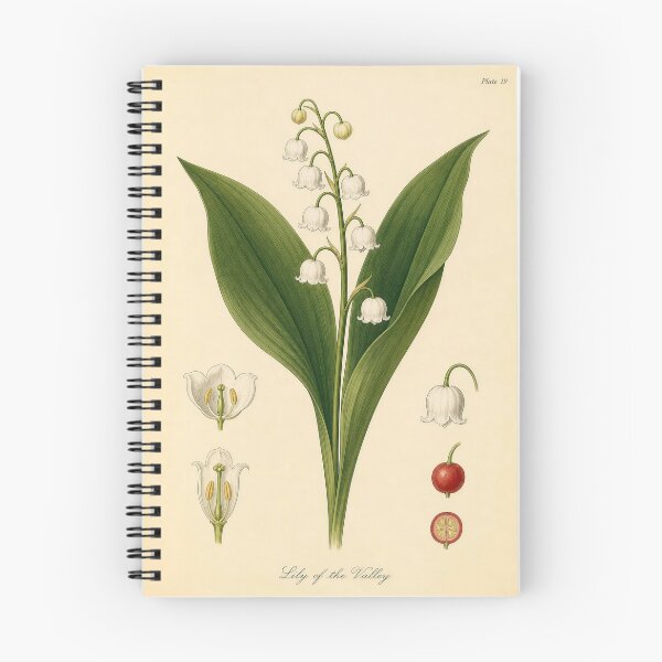 Item preview, Lily of the Valley Anatomical Botanical Plate designed and sold by NuvoraNest.