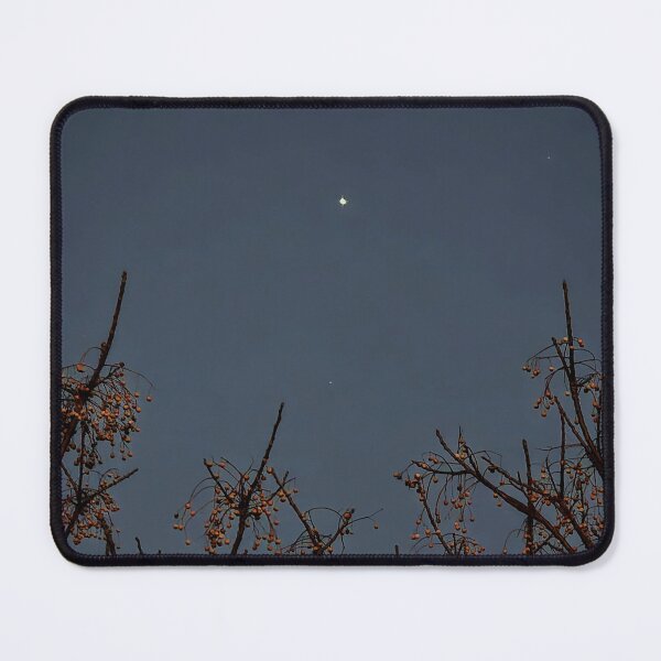 Item preview, Starry Night Sky with Trees designed and sold by Stacey's unpromised.