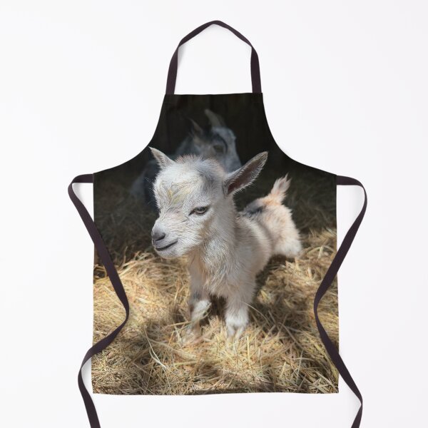 Item preview, Paco the goat designed and sold by emiliabuntz.