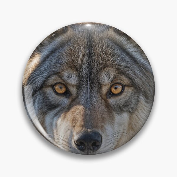 Item preview, Great Canadian White Wolf designed and sold by Alt-Art-Digital.