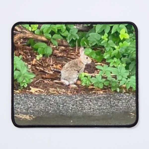 Item preview, Bunny at the Edge of the Road  designed and sold by Amanda1775.