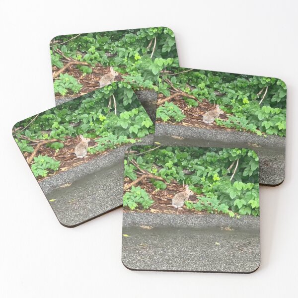 Item preview, Bunny at the Edge of the Road  designed and sold by Amanda1775.