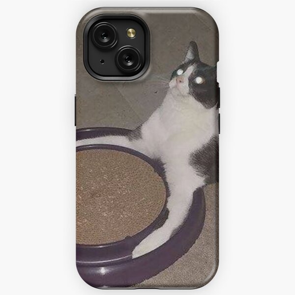  iPhone XS Max Cursed Cat Memes: Cursed Cat Angry As