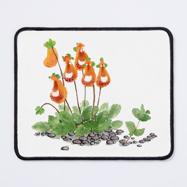 Item preview, March 27th birthday flower Calceolaria designed and sold by 366birthflower.