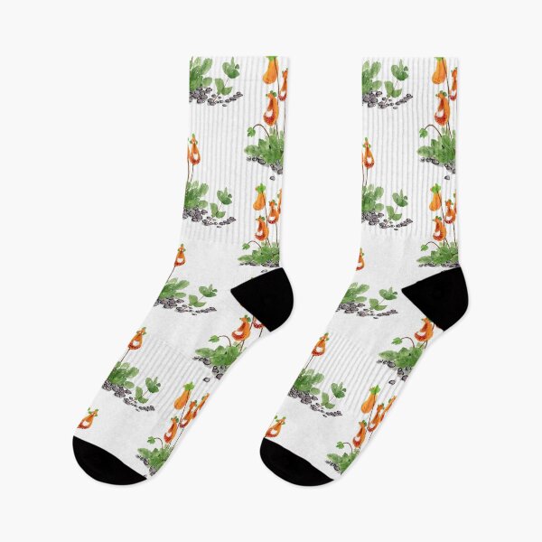Item preview, March 27th birthday flower Calceolaria designed and sold by birthflower.