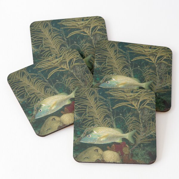 Item preview, Peak-a-boo fishies designed and sold by SubmergedFrames.