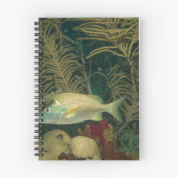 Item preview, Peak-a-boo fishies designed and sold by SubmergedFrames.