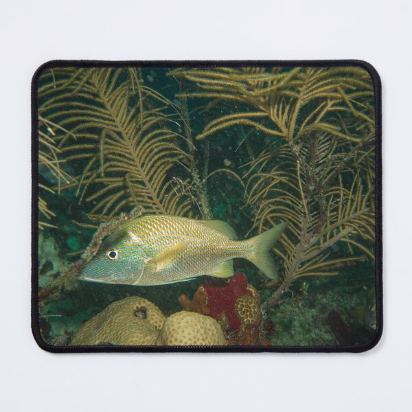 Item preview, Peak-a-boo fishies designed and sold by SubmergedFrames.