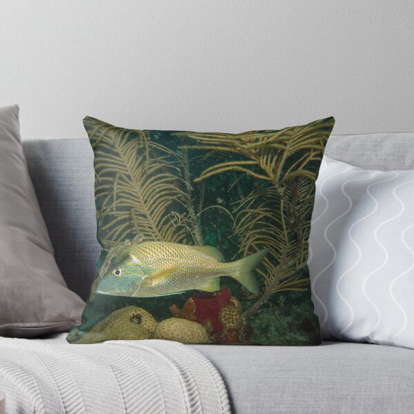 Item preview, Peak-a-boo fishies designed and sold by SubmergedFrames.