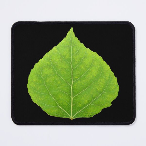 Item preview, Green Aspen Leaf #11 designed and sold by GobaFineArts.