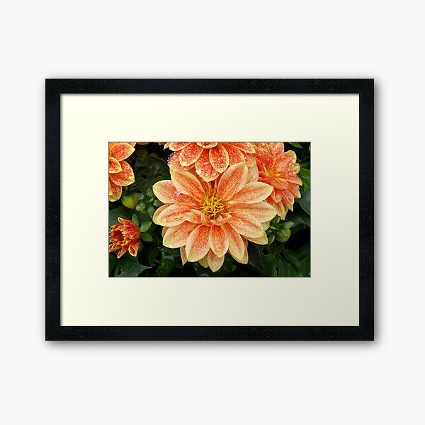 Item preview, Orange dahlia designed and sold by Agnes McGuinness.