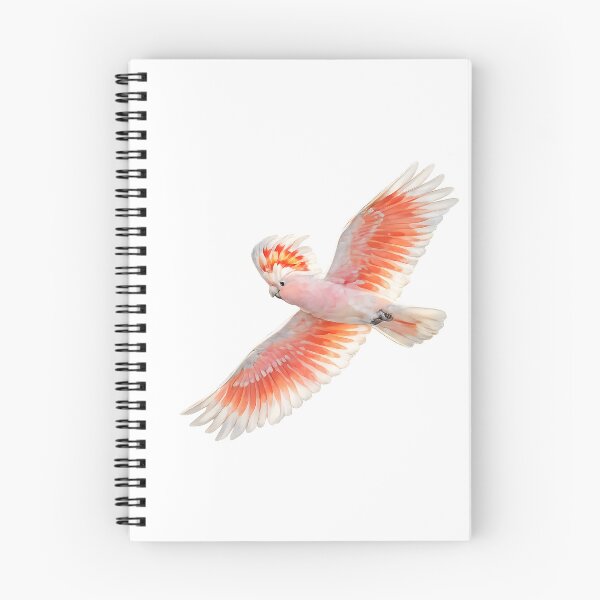 Item preview, Major Mitchell's Cockatoo in Flight Watercolour designed and sold by Jaruart.