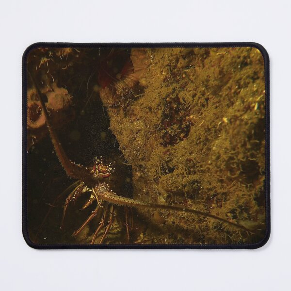 Item preview, Home of the lobster boss designed and sold by SubmergedFrames.