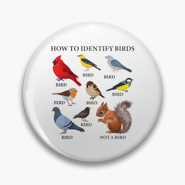 Item preview, Bird Watching How to Identify Birds designed and sold by goombi-creative.