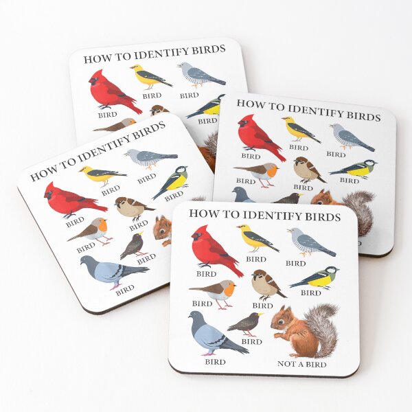 Item preview, Observación de aves: Cómo identificar aves designed and sold by goombi-creative.