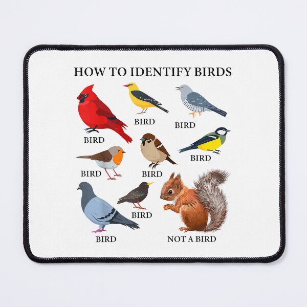 Item preview, Bird Watching How to Identify Birds designed and sold by goombi-creative.