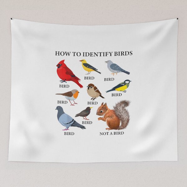 Item preview, Bird Watching How to Identify Birds designed and sold by goombi-creative.