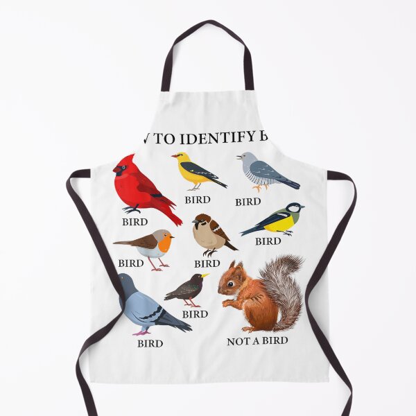 Item preview, Bird Watching How to Identify Birds designed and sold by goombi-creative.