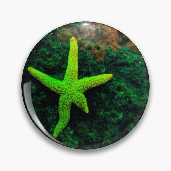 Item preview, Patrick Star Inspiration designed and sold by SubmergedFrames.