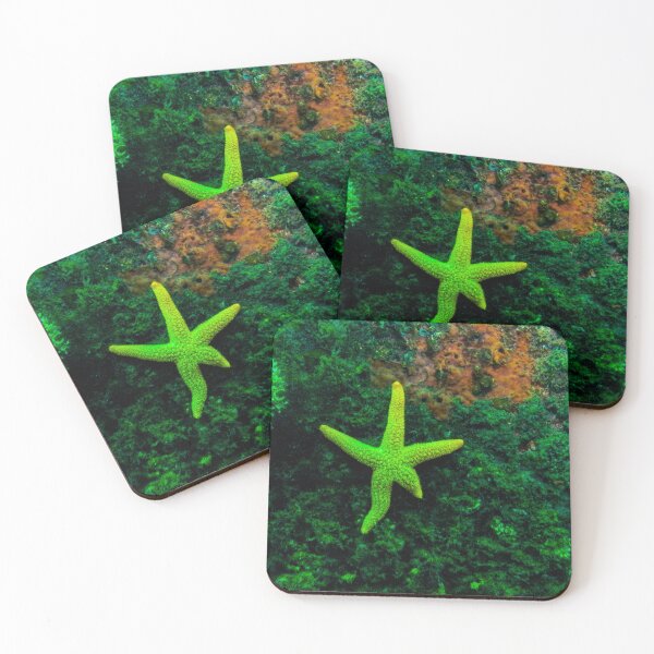 Item preview, Patrick Star Inspiration designed and sold by SubmergedFrames.