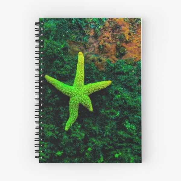 Item preview, Patrick Star Inspiration designed and sold by SubmergedFrames.