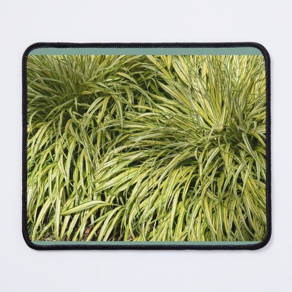 Item preview, Garden Decorative Green Grass designed and sold by StylishDecor.