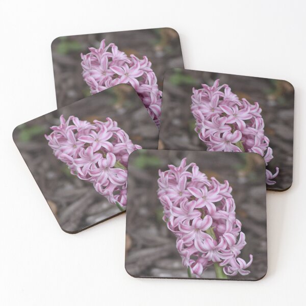 Item preview, Soft Pink White Hyacinth Close-up Photography designed and sold by TathataPhotos.