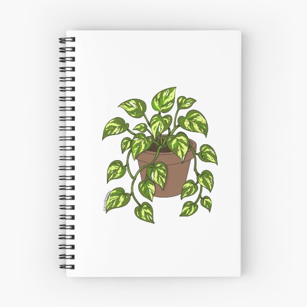 Item preview, Pothos designed and sold by artmadebyhoney.