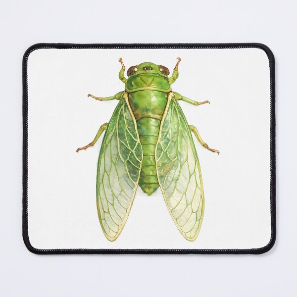 Artikelvorschau, Green Grocer Cicada Watercolour Illustration entworfen und verkauft von Jaruart.
