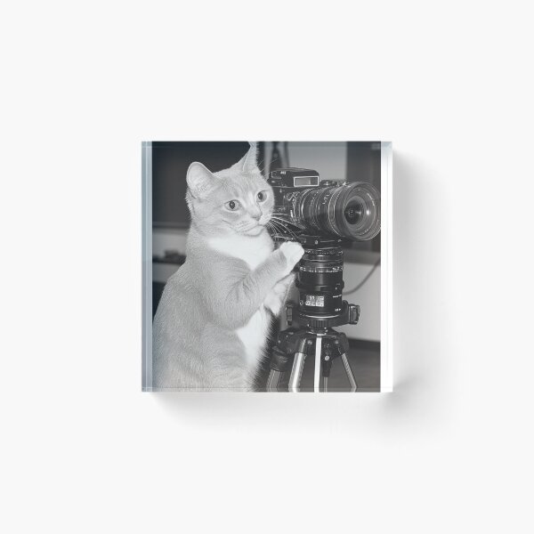 Item preview, Photographer Cat designed and sold by Dogtooth Director.
