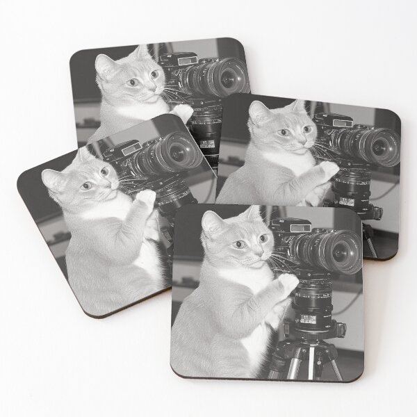 Item preview, Photographer Cat designed and sold by Dogtooth Director.