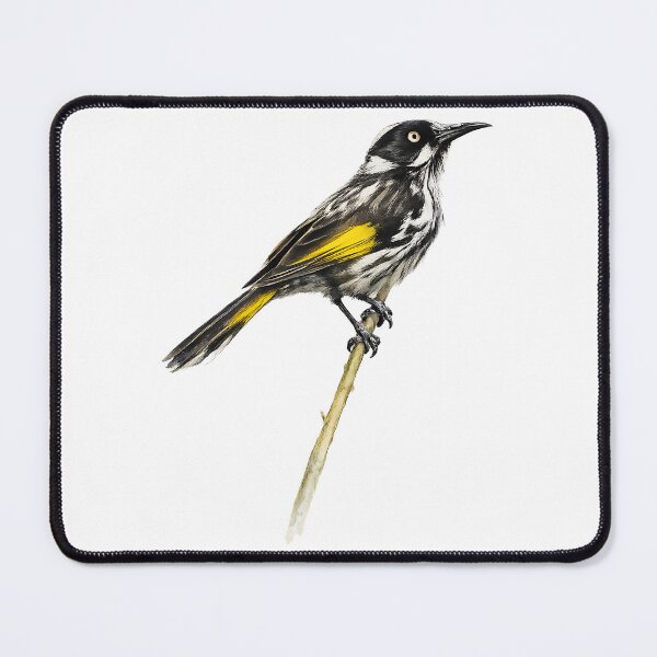Item preview, New Holland Honeyeater Watercolour designed and sold by Jaruart.