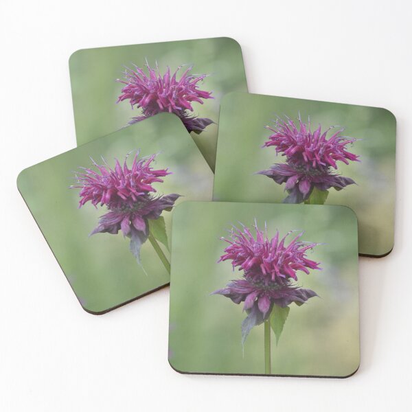 Item preview, Pink Purple Bee Balm Monarda Macro Photography designed and sold by TathataPhotos.