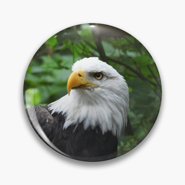 Item preview, Bald Eagle Looking Stoic designed and sold by MJ M.